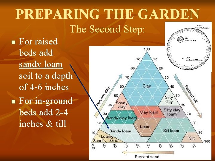 PREPARING THE GARDEN The Second Step: n n For raised beds add sandy loam