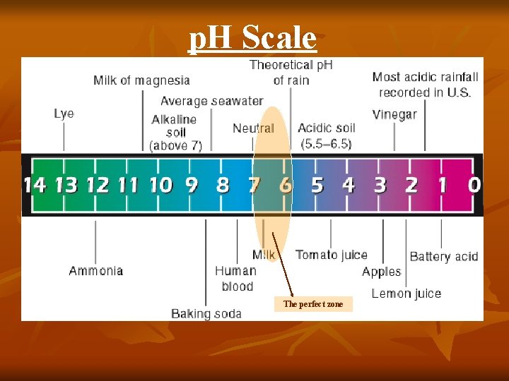 p. H Scale The perfect zone 