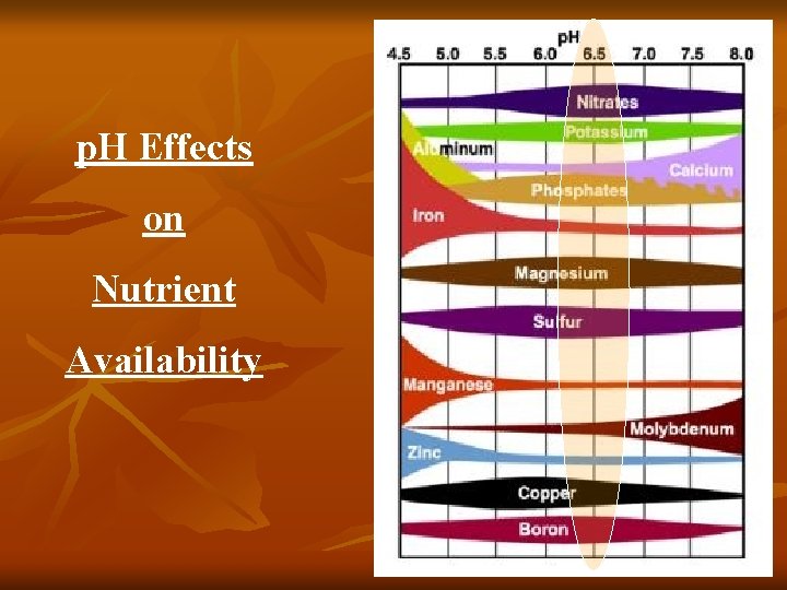 p. H Effects on Nutrient Availability 