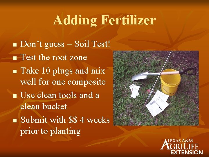 Adding Fertilizer n n n Don’t guess – Soil Test! Test the root zone