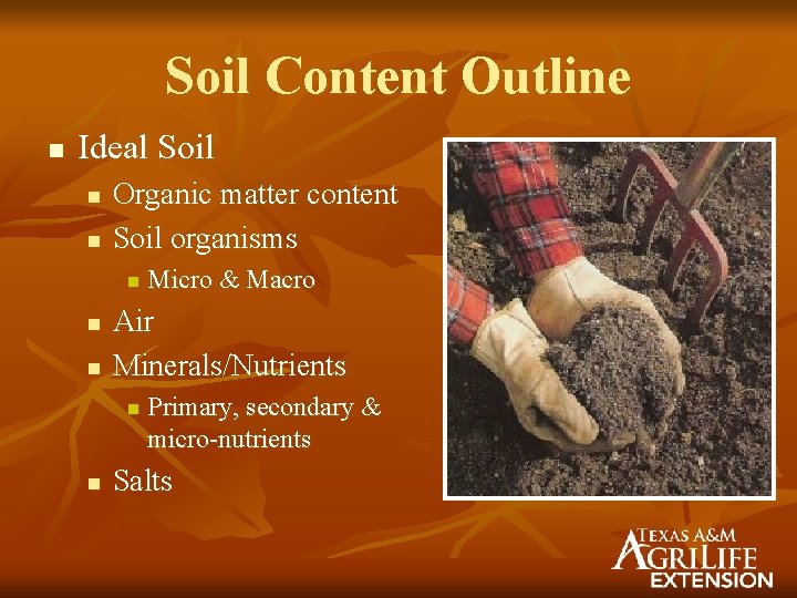 Soil Content Outline n Ideal Soil n n Organic matter content Soil organisms n