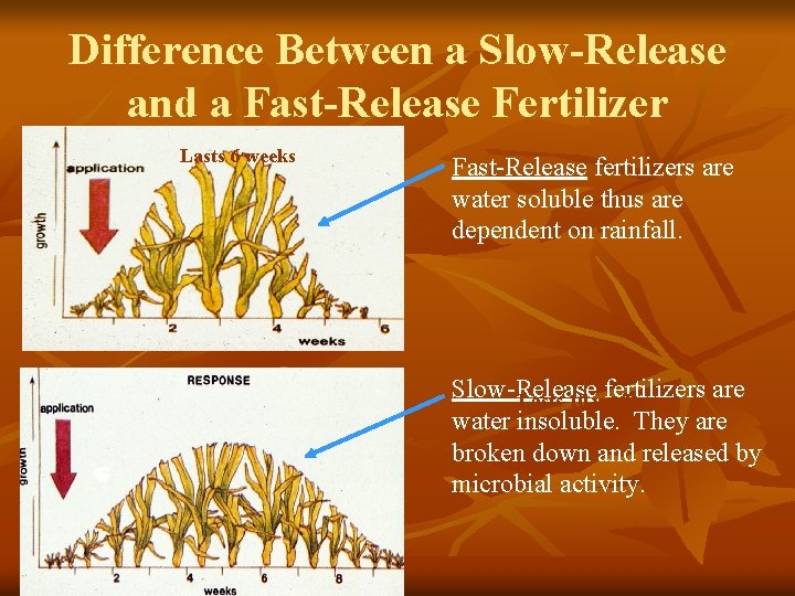 Difference Between a Slow-Release and a Fast-Release Fertilizer Lasts 6 weeks Fast-Release fertilizers are
