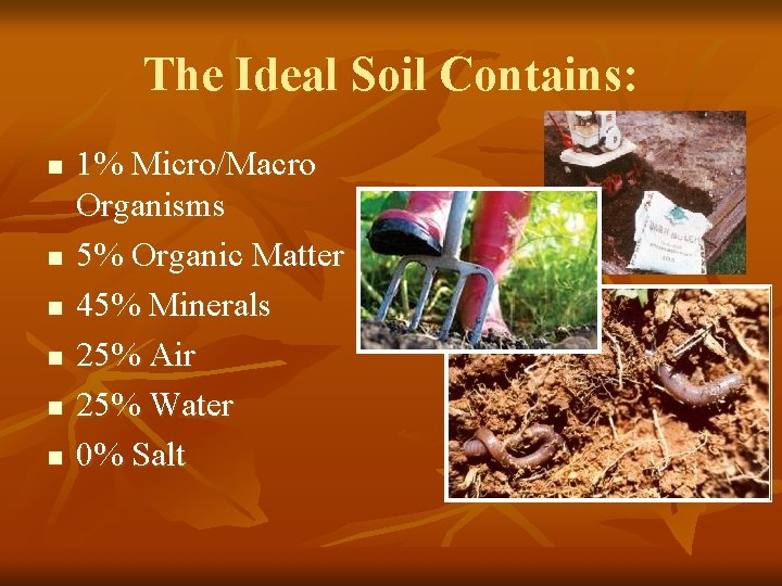 The Ideal Soil Contains: n n n 1% Micro/Macro Organisms 5% Organic Matter 45%