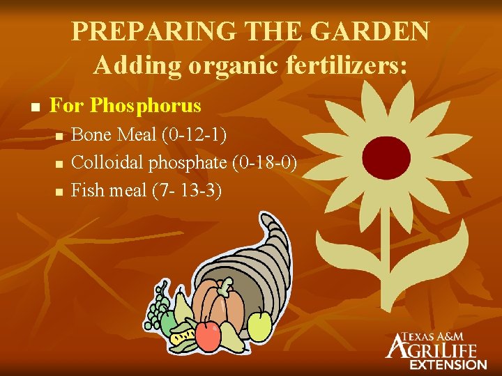 PREPARING THE GARDEN Adding organic fertilizers: n For Phosphorus n n n Bone Meal