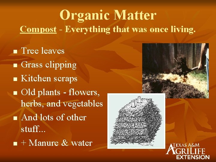 Organic Matter Compost - Everything that was once living. n n n Tree leaves