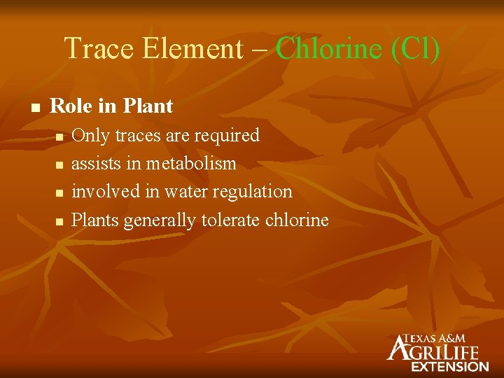 Trace Element – Chlorine (Cl) n Role in Plant n n Only traces are