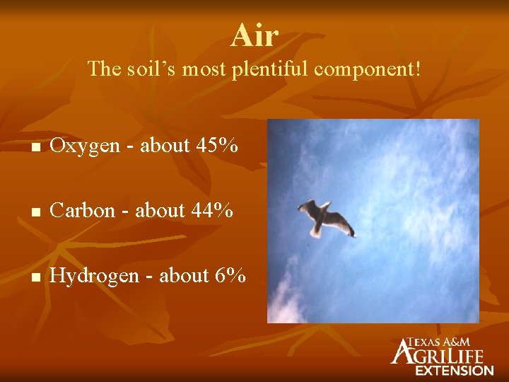Air The soil’s most plentiful component! n Oxygen - about 45% n Carbon -