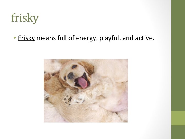 frisky • Frisky means full of energy, playful, and active. 