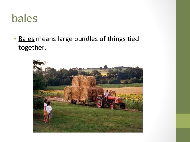 bales • Bales means large bundles of things tied together. 