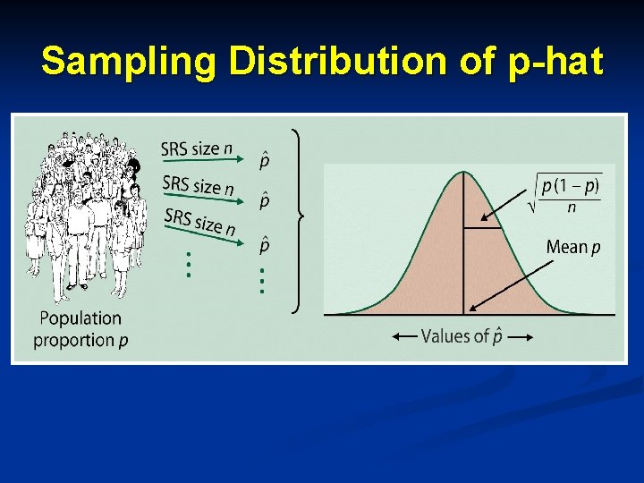 Sampling Distribution of p-hat 