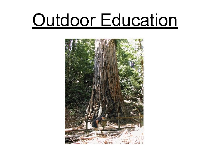 Outdoor Education 