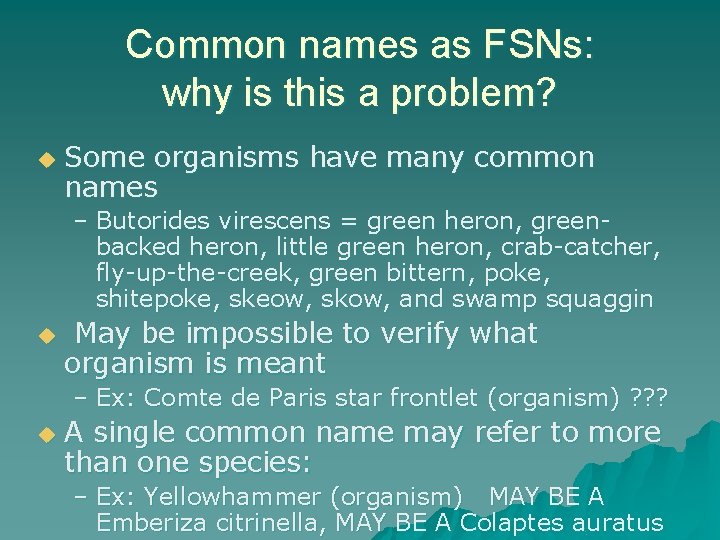 Common names as FSNs: why is this a problem? u Some organisms have many