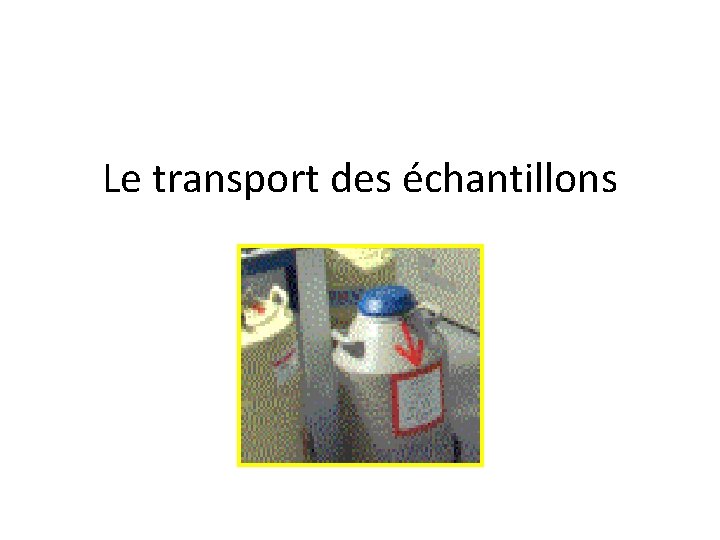 Le transport des échantillons 