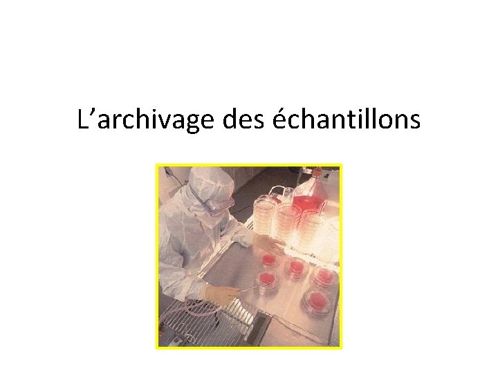 L’archivage des échantillons 