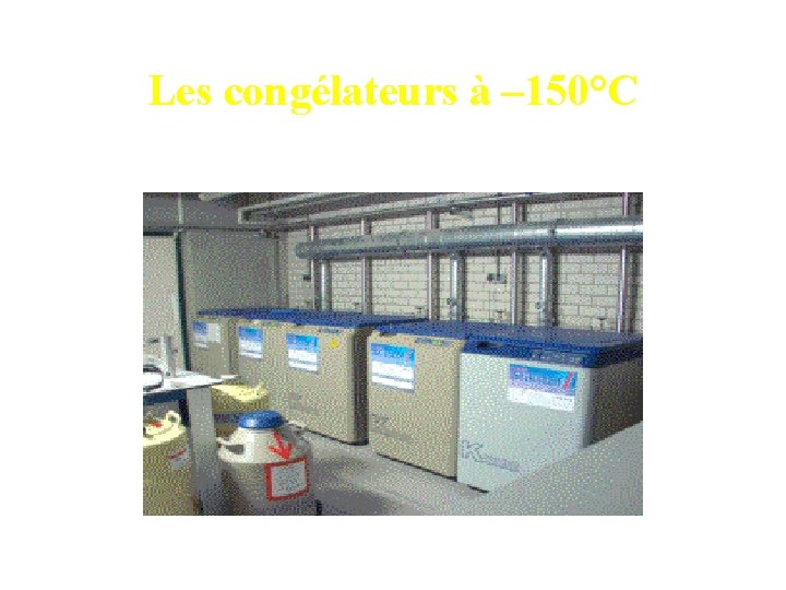 Les congélateurs à – 150°C 