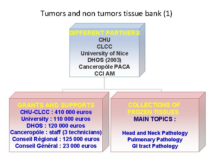 Tumors and non tumors tissue bank (1) DIFFERENT PARTNERS CHU CLCC University of Nice