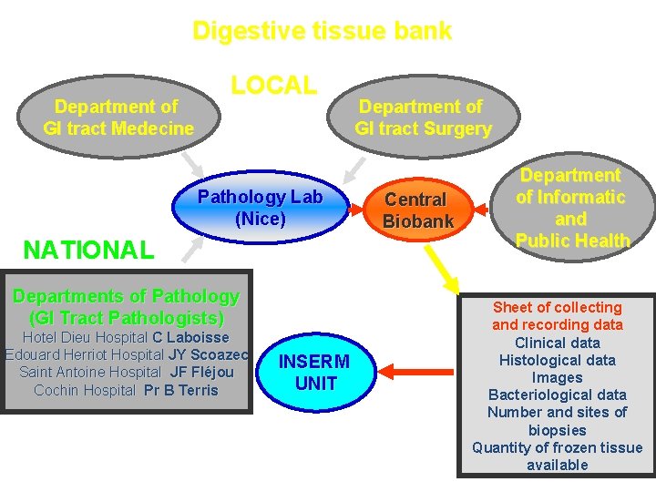 Digestive tissue bank Department of GI tract Medecine LOCAL Department of GI tract Surgery