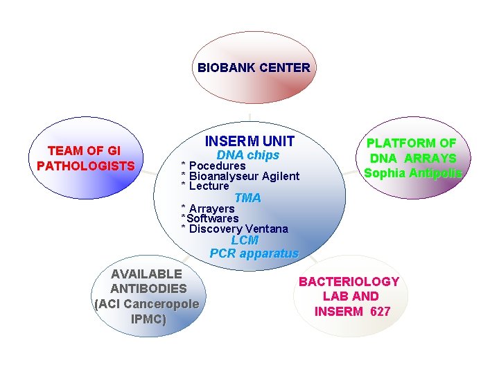 BIOBANK CENTER TEAM OF GI PATHOLOGISTS INSERM UNIT DNA chips * Pocedures * Bioanalyseur