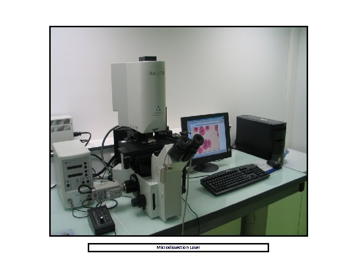 Microdissection Laser 