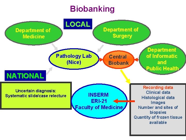  Biobanking Department of Medicine LOCAL Pathology Lab (Nice) Department of Surgery Central Biobank