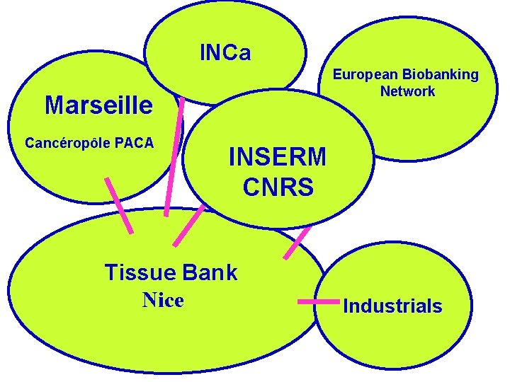 INCa European Biobanking Network Marseille Cancéropôle PACA INSERM CNRS Tissue Bank Nice Industrials 
