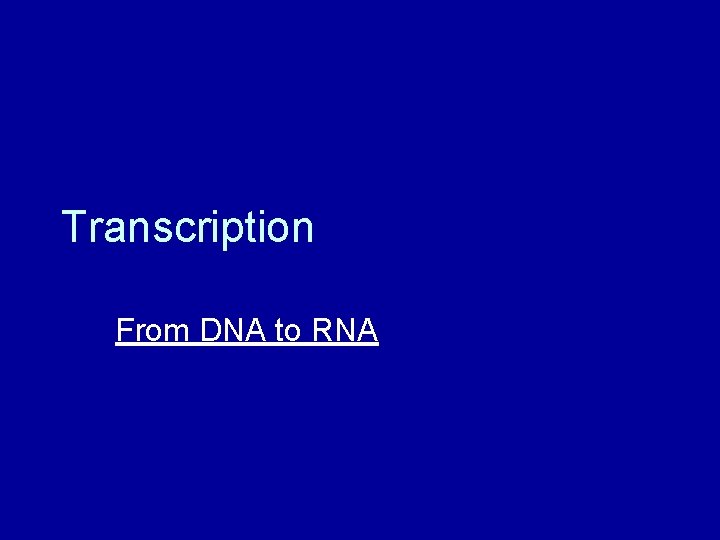 Transcription From DNA to RNA 