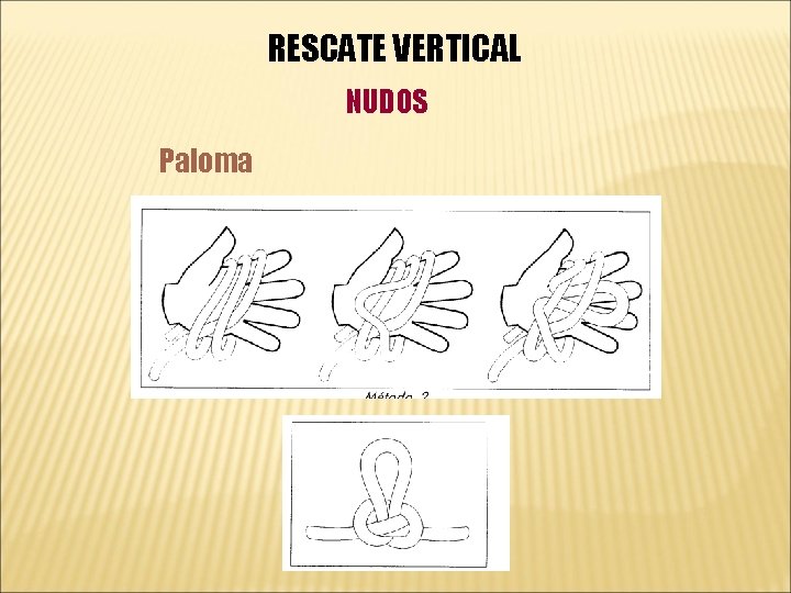 RESCATE VERTICAL NUDOS Paloma 