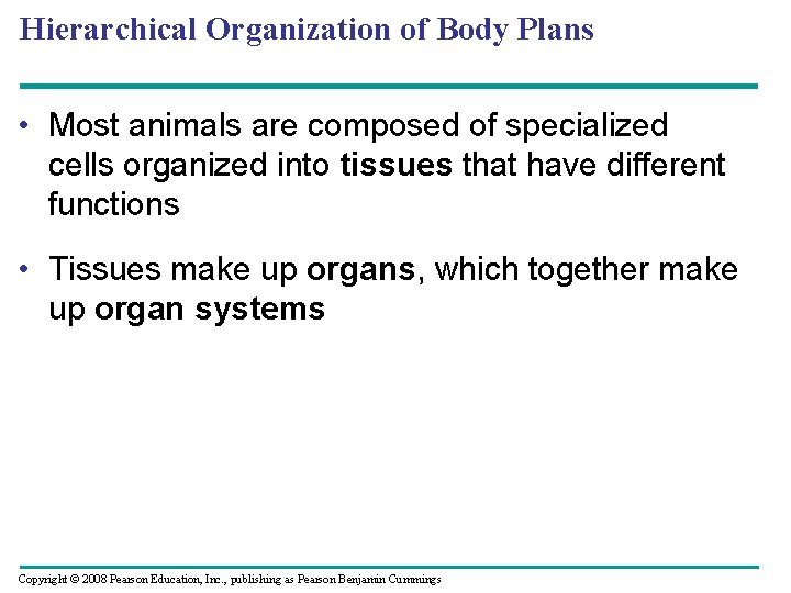 Hierarchical Organization of Body Plans • Most animals are composed of specialized cells organized