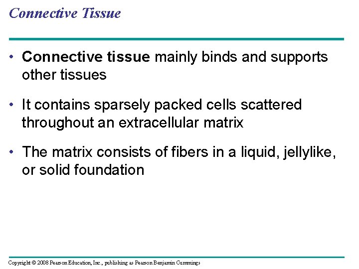 Connective Tissue • Connective tissue mainly binds and supports other tissues • It contains