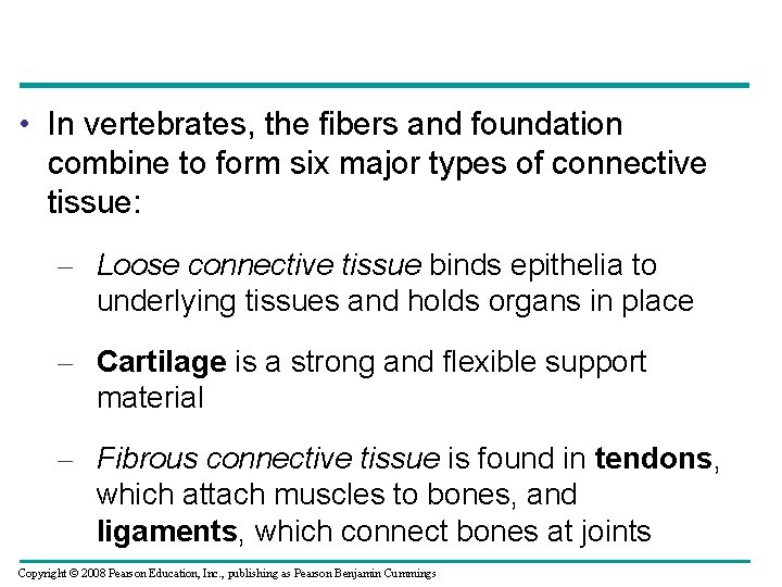  • In vertebrates, the fibers and foundation combine to form six major types