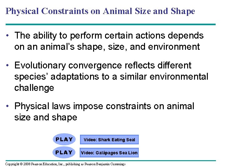 Physical Constraints on Animal Size and Shape • The ability to perform certain actions