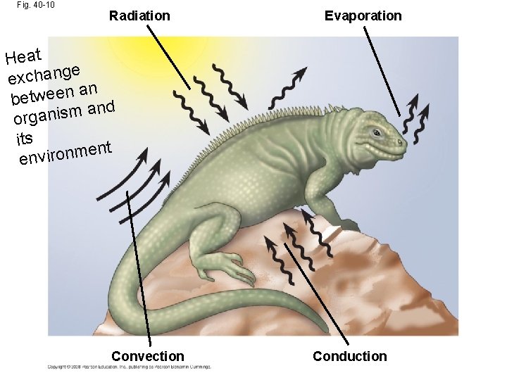 Fig. 40 -10 Radiation Evaporation Heat e exchang an n e e w t