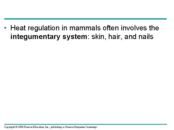 • Heat regulation in mammals often involves the integumentary system: skin, hair, and
