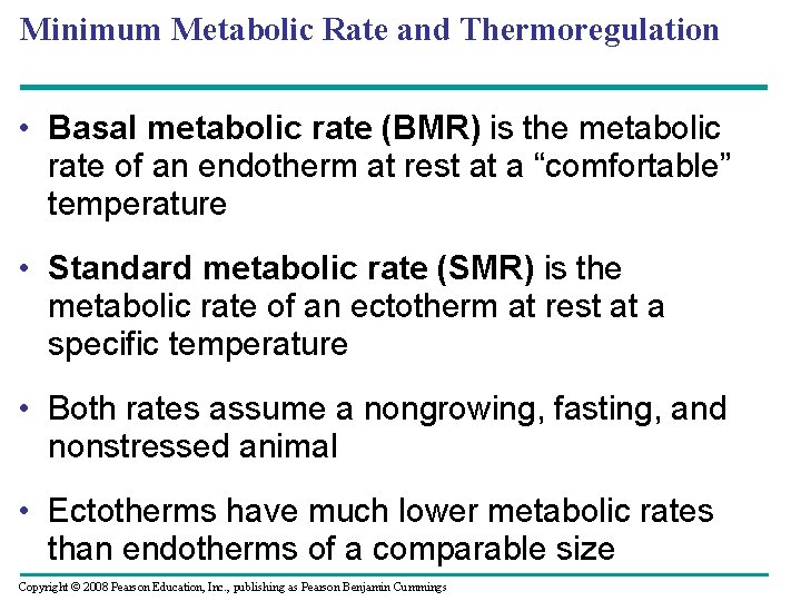 Minimum Metabolic Rate and Thermoregulation • Basal metabolic rate (BMR) is the metabolic rate