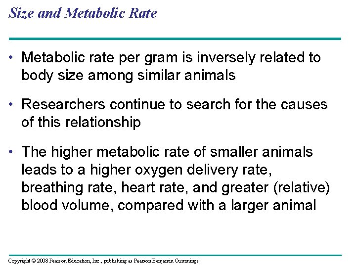 Size and Metabolic Rate • Metabolic rate per gram is inversely related to body