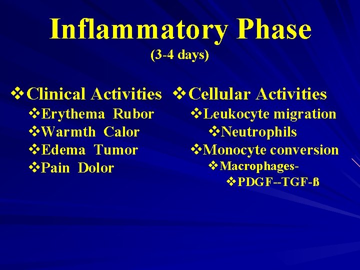 Inflammatory Phase (3 -4 days) v. Clinical Activities v. Cellular Activities v. Erythema Rubor