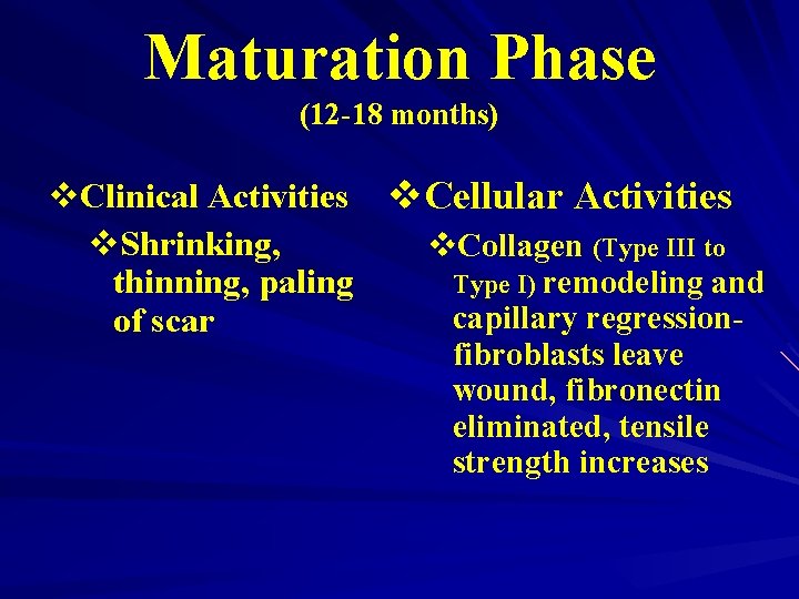 Maturation Phase (12 -18 months) v. Clinical Activities v. Cellular Activities v. Shrinking, v.