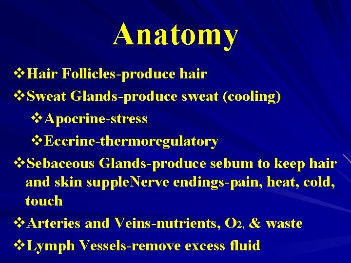 Anatomy v. Hair Follicles-produce hair v. Sweat Glands-produce sweat (cooling) v. Apocrine-stress v. Eccrine-thermoregulatory