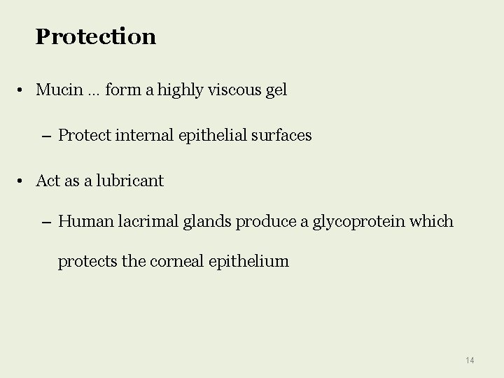 Protection • Mucin … form a highly viscous gel – Protect internal epithelial surfaces