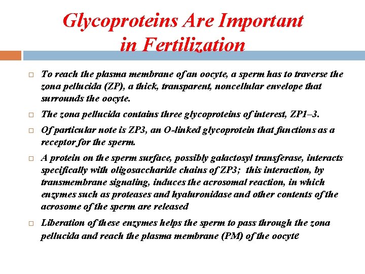 Glycoproteins Are Important in Fertilization To reach the plasma membrane of an oocyte, a