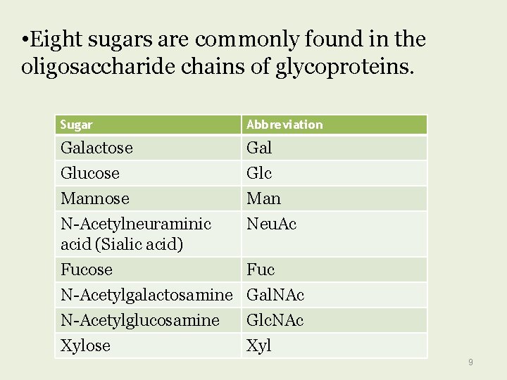  • Eight sugars are commonly found in the oligosaccharide chains of glycoproteins. Sugar