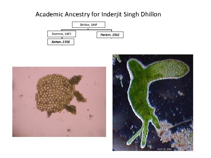 Academic Ancestry for Inderjit Singh Dhillon, 1997 Demmel, 1983 Parlett, 1962 Kahan, 1958 Forsythe,