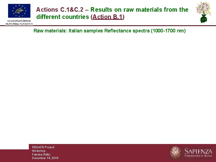 Actions C. 1&C. 2 – Results on raw materials from the different countries (Action