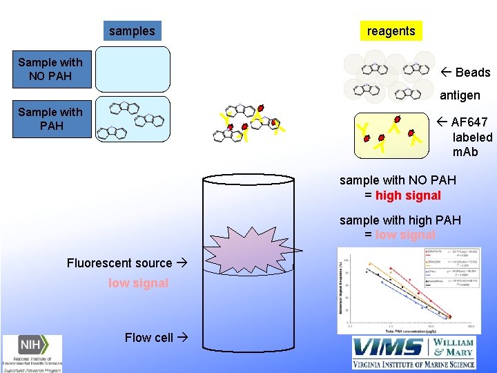 samples reagents Sample with NO PAH ß Beads antigen Y Y YY Sample with