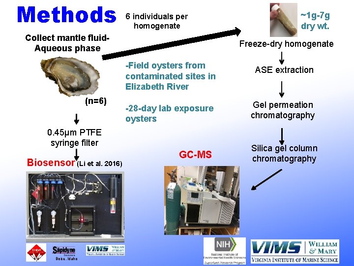 Methods 6 individuals per homogenate Collect mantle fluid. Aqueous phase (n=6) Freeze-dry homogenate -Field