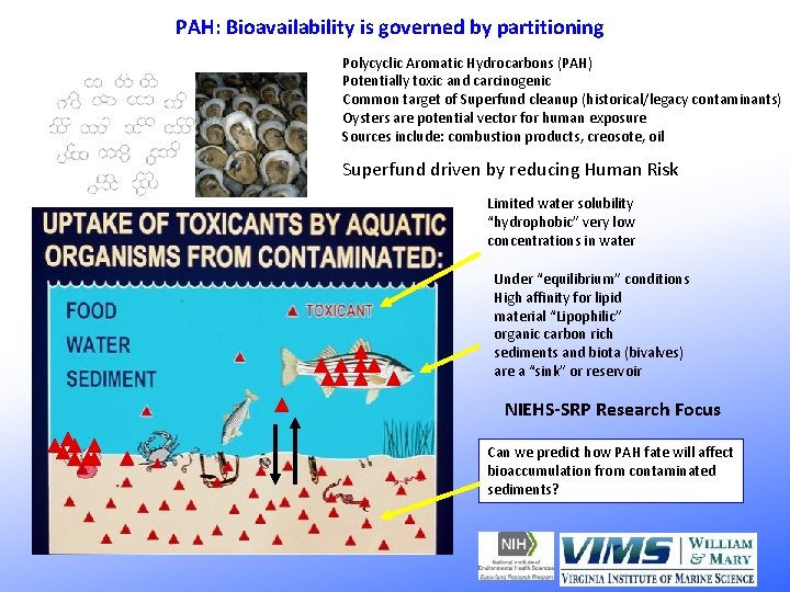 PAH: Bioavailability is governed by partitioning Polycyclic Aromatic Hydrocarbons (PAH) Potentially toxic and carcinogenic