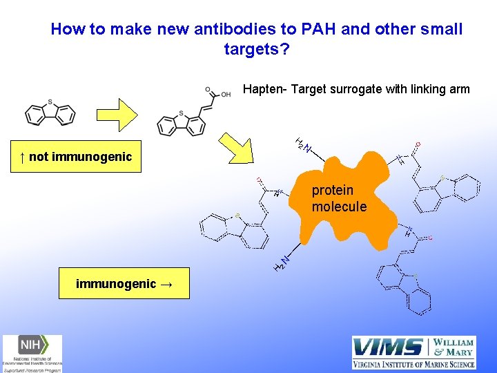 How to make new antibodies to PAH and other small targets? Hapten- Target surrogate