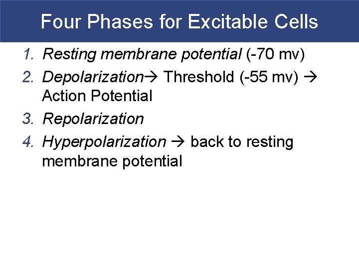 Four Phases for Excitable Cells 1. Resting membrane potential (-70 mv) 2. Depolarization Threshold