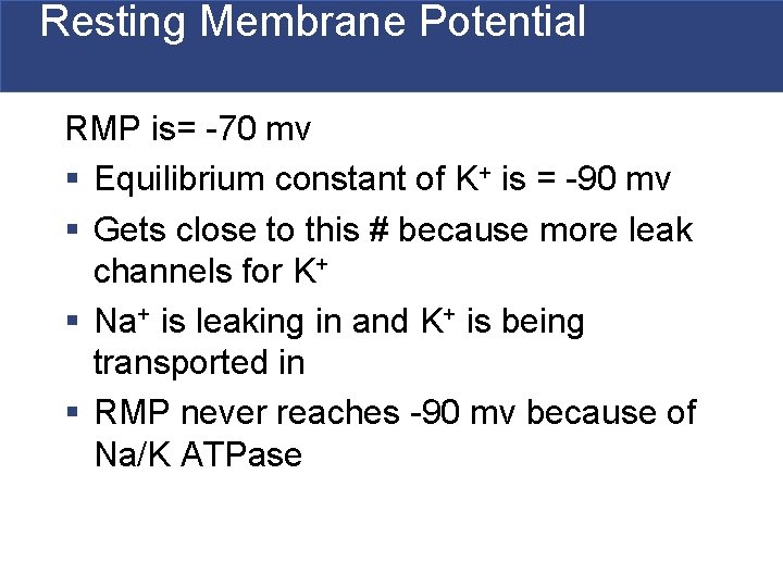 Resting Membrane Potential RMP is= -70 mv § Equilibrium constant of K+ is = Resting Membrane Potential RMP is= -70 mv § Equilibrium constant of K+ is =