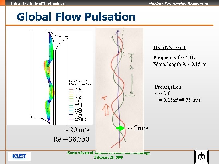 Tokyo Institute of Technology Nuclear Engineering Department Global Flow Pulsation URANS result: Frequency f
